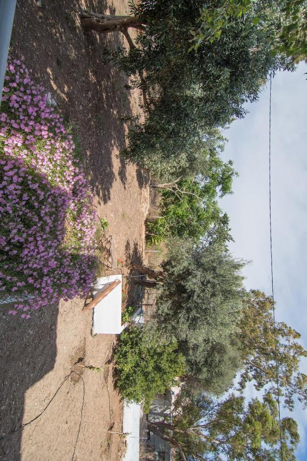 Grameno Apartments Kountoura Selino Exterior photo